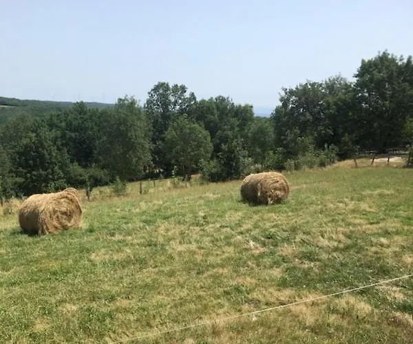 Mobil 3 Ch Appartement Damiatte