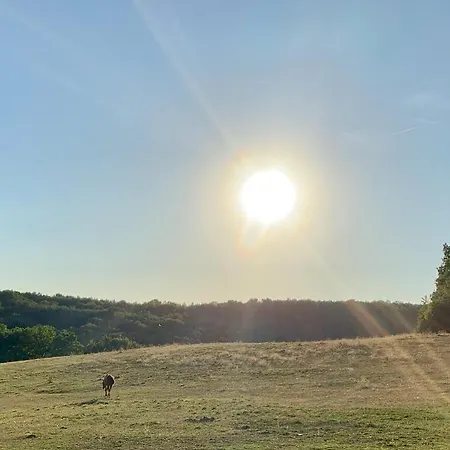 Mobil 3 Ch Lägenhet Damiatte