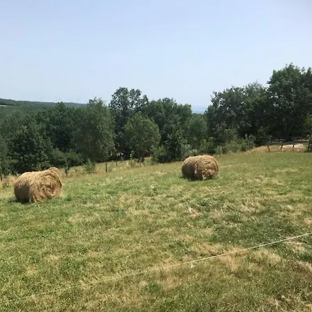 Mobil 3 Ch Lägenhet Damiatte